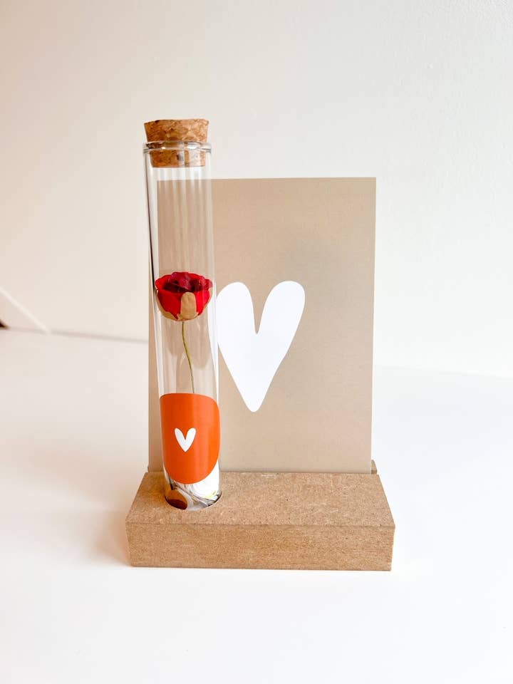 Rørholder til gaveæsker 5x10 cm, 16 stk. for engroshandel hos SEQ LIFESTYLE