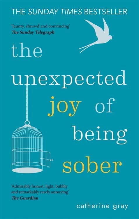 Microcosm Publishing & Distribution - Wholesale Self-Help & Personal Development Book - Unexpected Joy of Being Sober: healthy alcohol-free life0