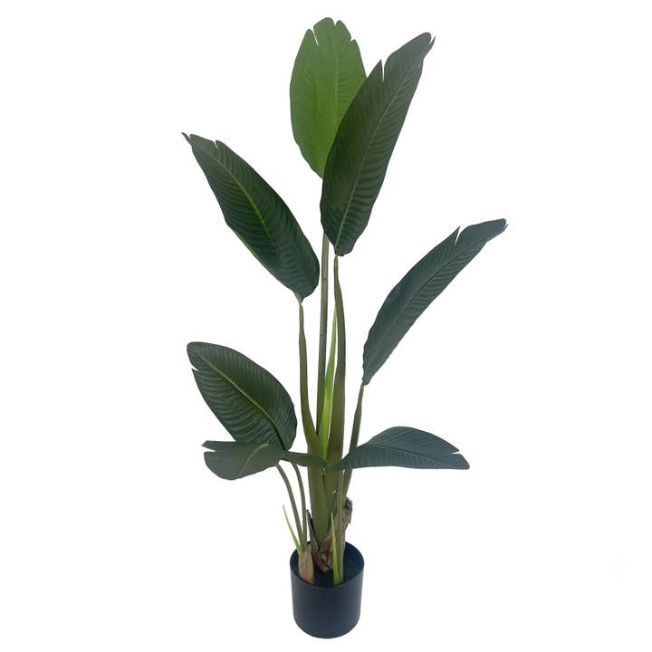 UV Traveller Banana Palm Tree for wholesale by Leaf Design UK LTD