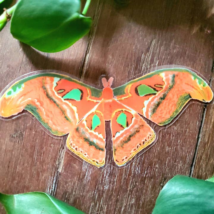 Clear Orange Butterfly Sticker ~ Atlas Moth for wholesale by Lou's Hues