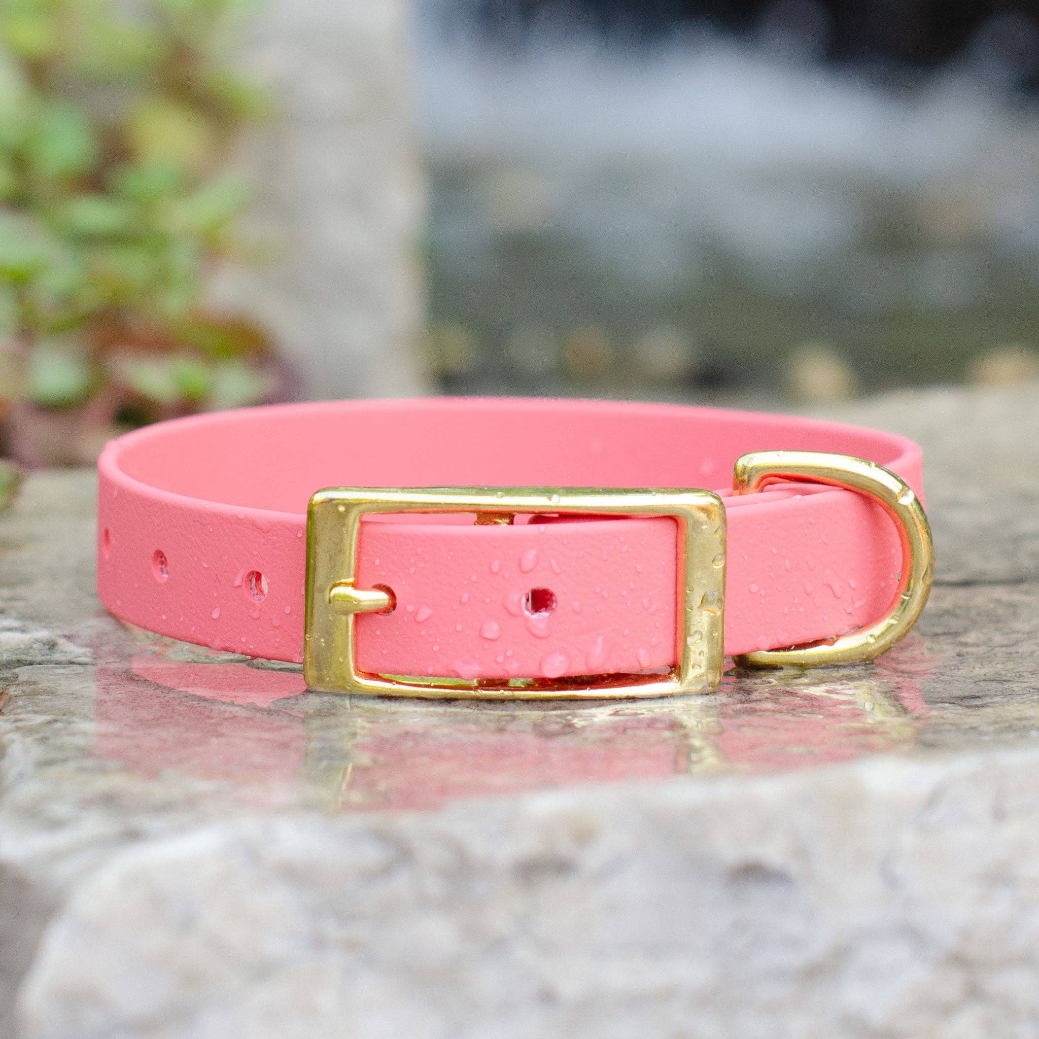 Waterproof Biothane® Collar - Coral for wholesale by Doodle Dog Town