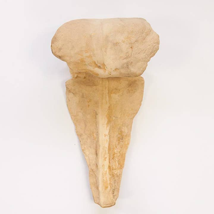 2-Pack Decorative Sconce for wholesale by A Makers' Studio