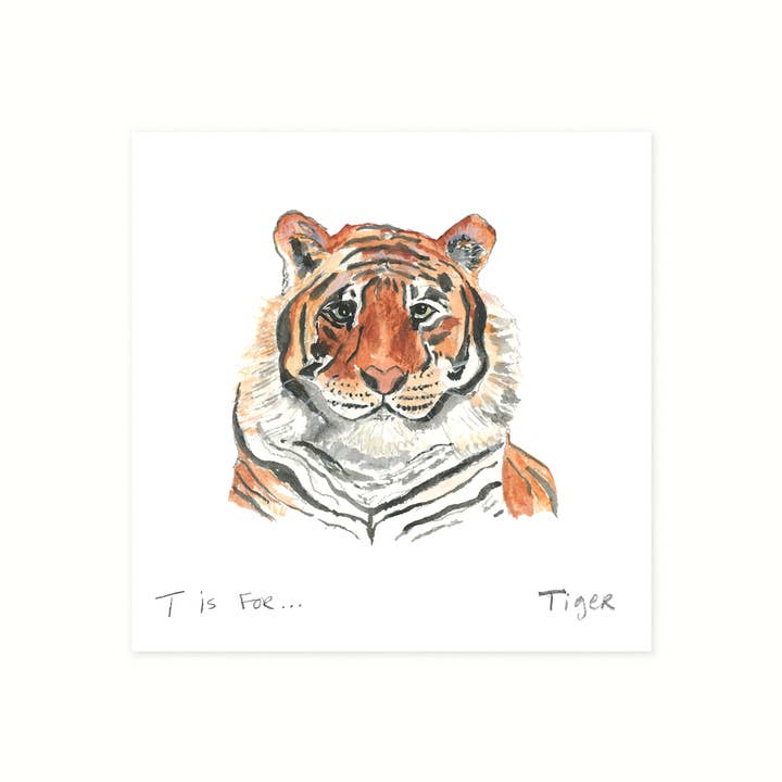 Tigre para venta al por mayor de Margaret Joy