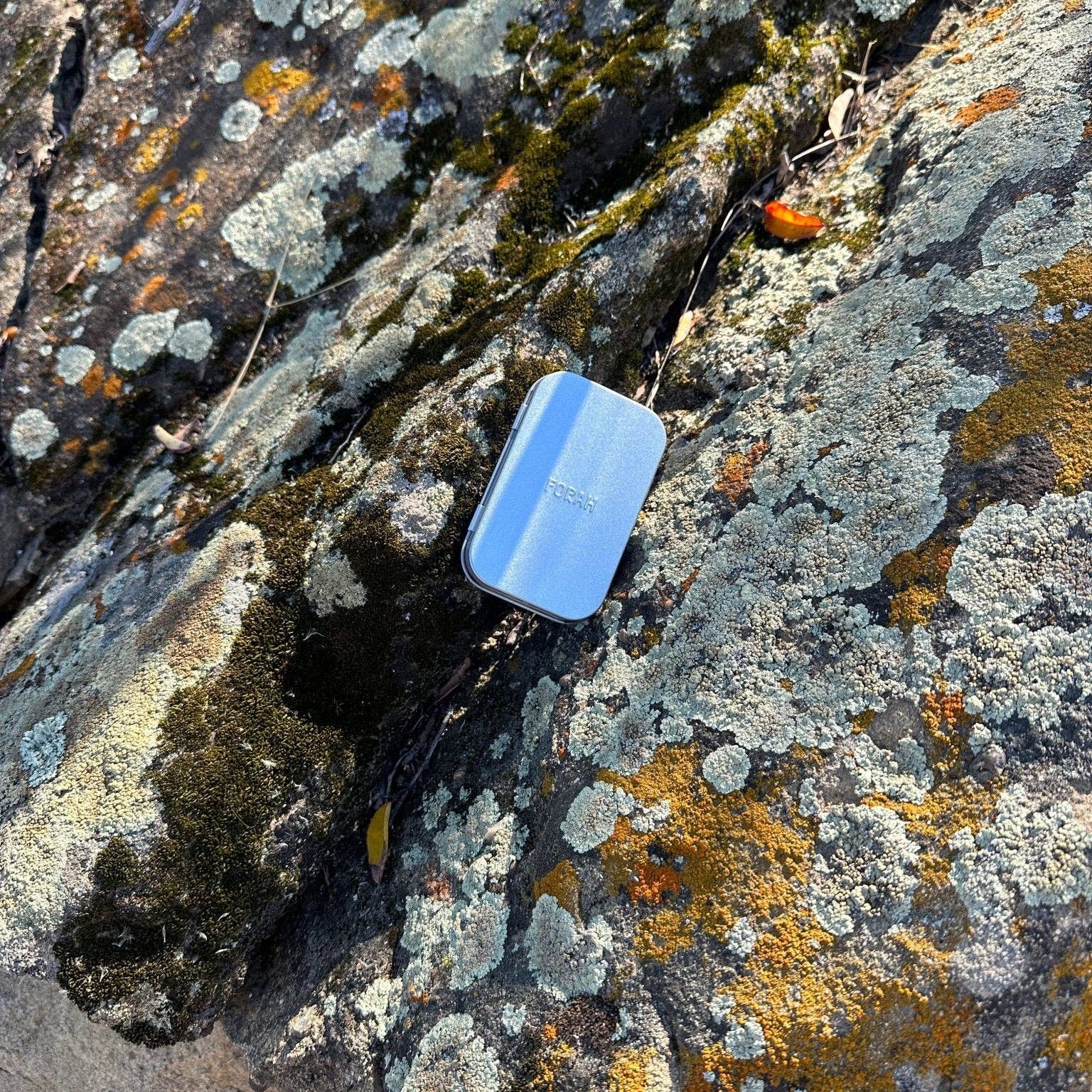 FORAH – Großhandel Gesichtspflege-Set – Entdeckungs-K2