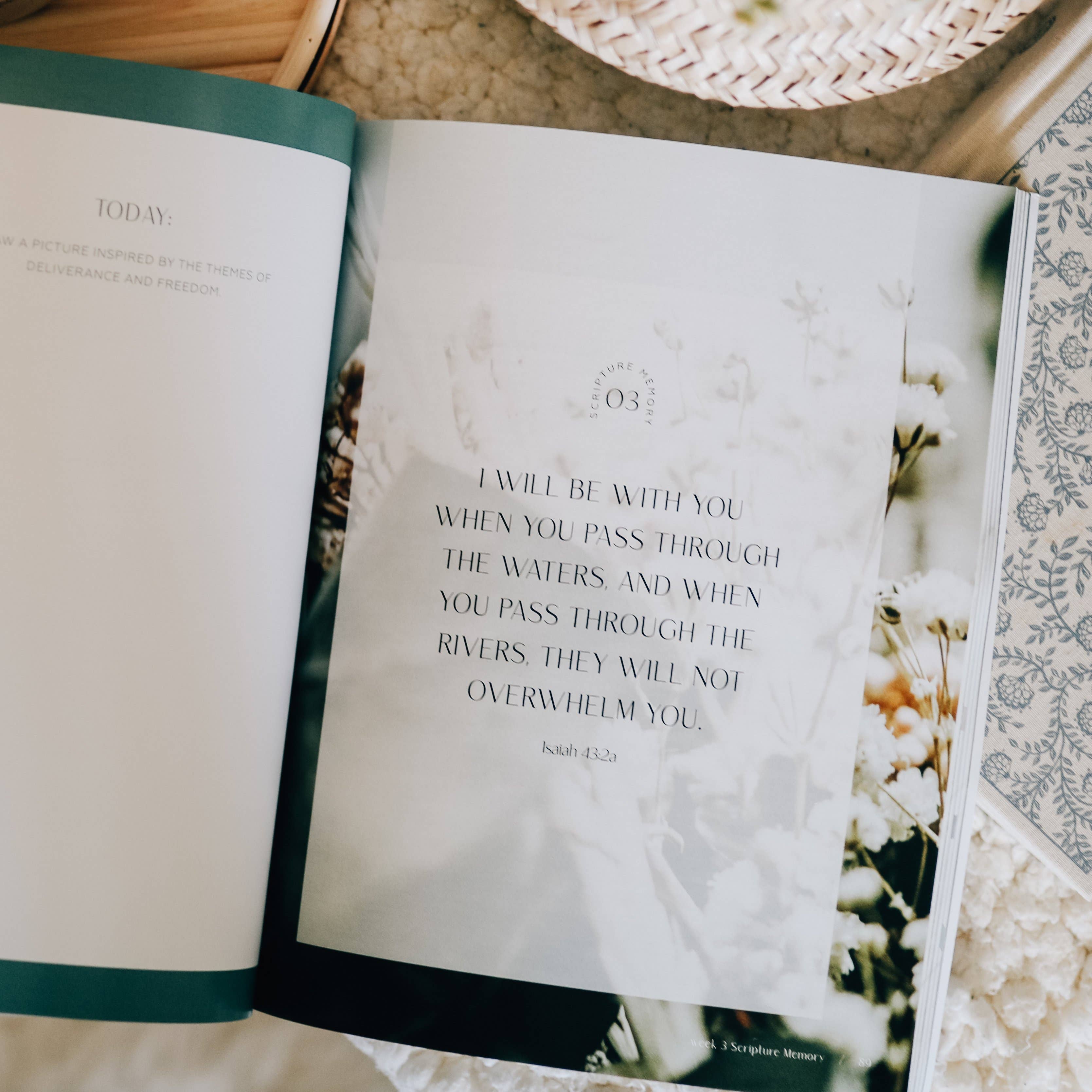 The Daily Grace Co - Wholesale Religion - Journey to Freedom | The Life of Moses12