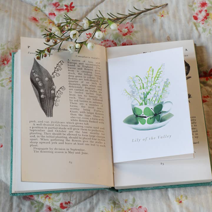 Sara Sayer – Großhandel Grußkarten für den Alltag – Mini-Karte mit botanischen Blumen aus dem Maiglöckchen2