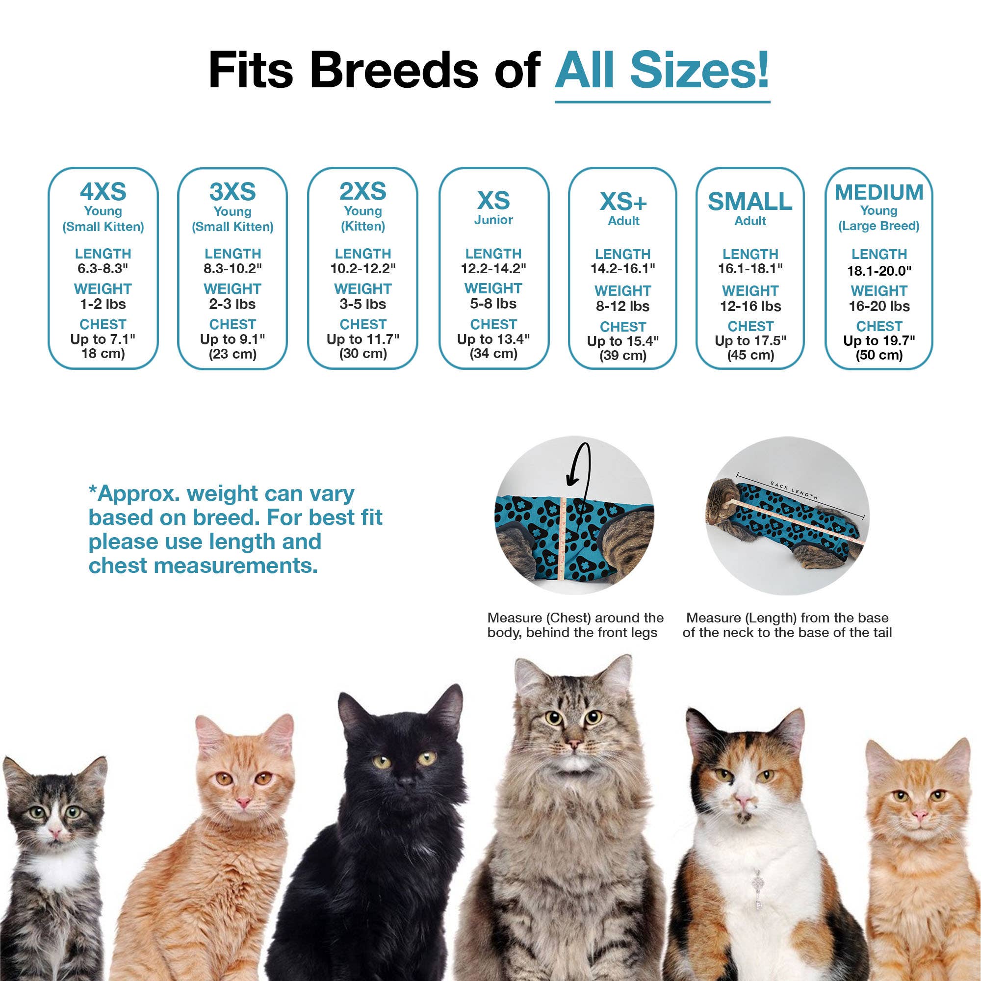 bleu Combinaison de récupération pour chat BellyGuard - Patte bleue en vente sur Faire2