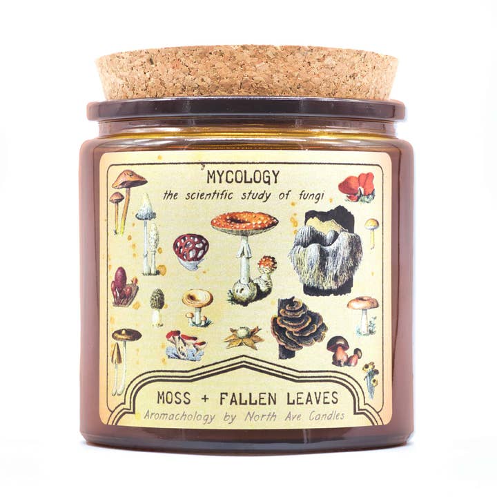 North Ave Candles - Wholesale Jar/Filled Candle - Aromachology / Mushroom Candle / Science Candle / Museum0