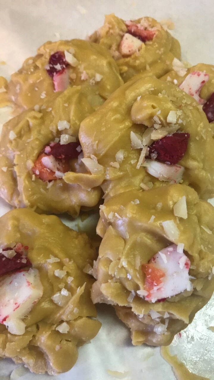 Frog on a Limb Primitives - Wholesale Wax Melt - Single Cookie wax melts6