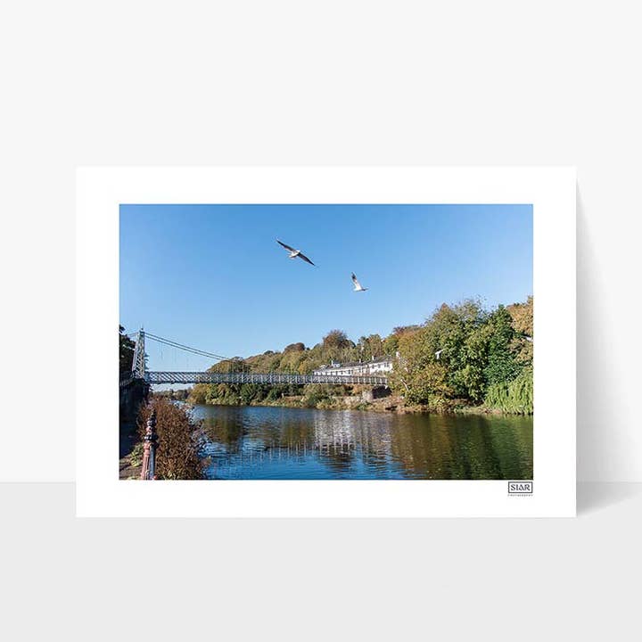 Daly's Bridge | Die Shakey-Brücke | Cork City | Cork für den Großhandel von SIAR Photography