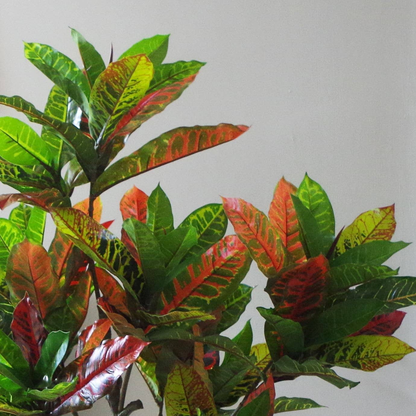 Leaf Design UK LTD - Wholesale Artificial Plant - Artificial House Plant Codiaeum Multicoloured Tree 130cm1