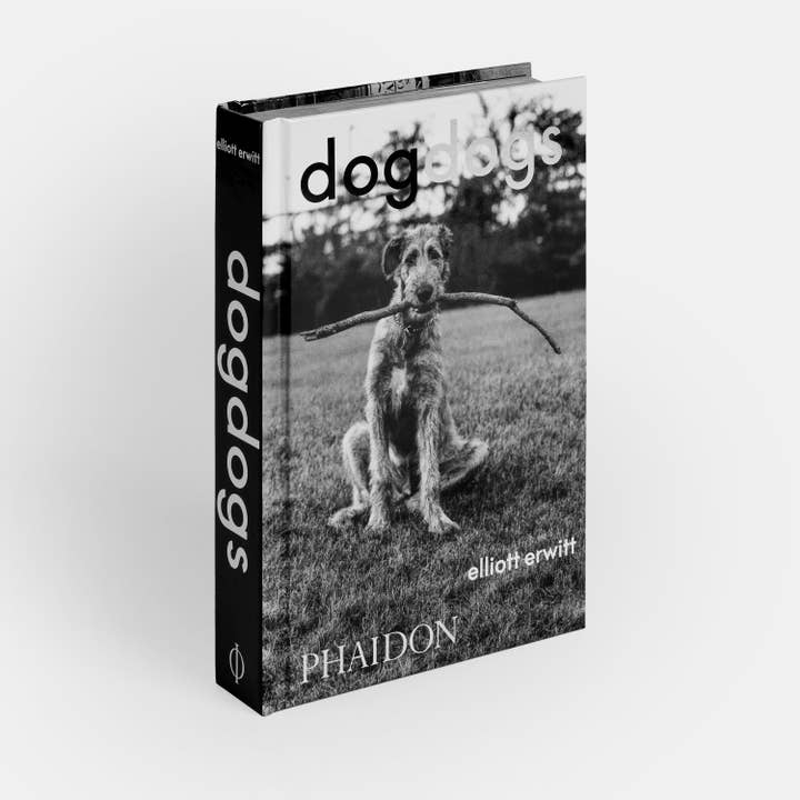 DogDogs for wholesale by Phaidon Press