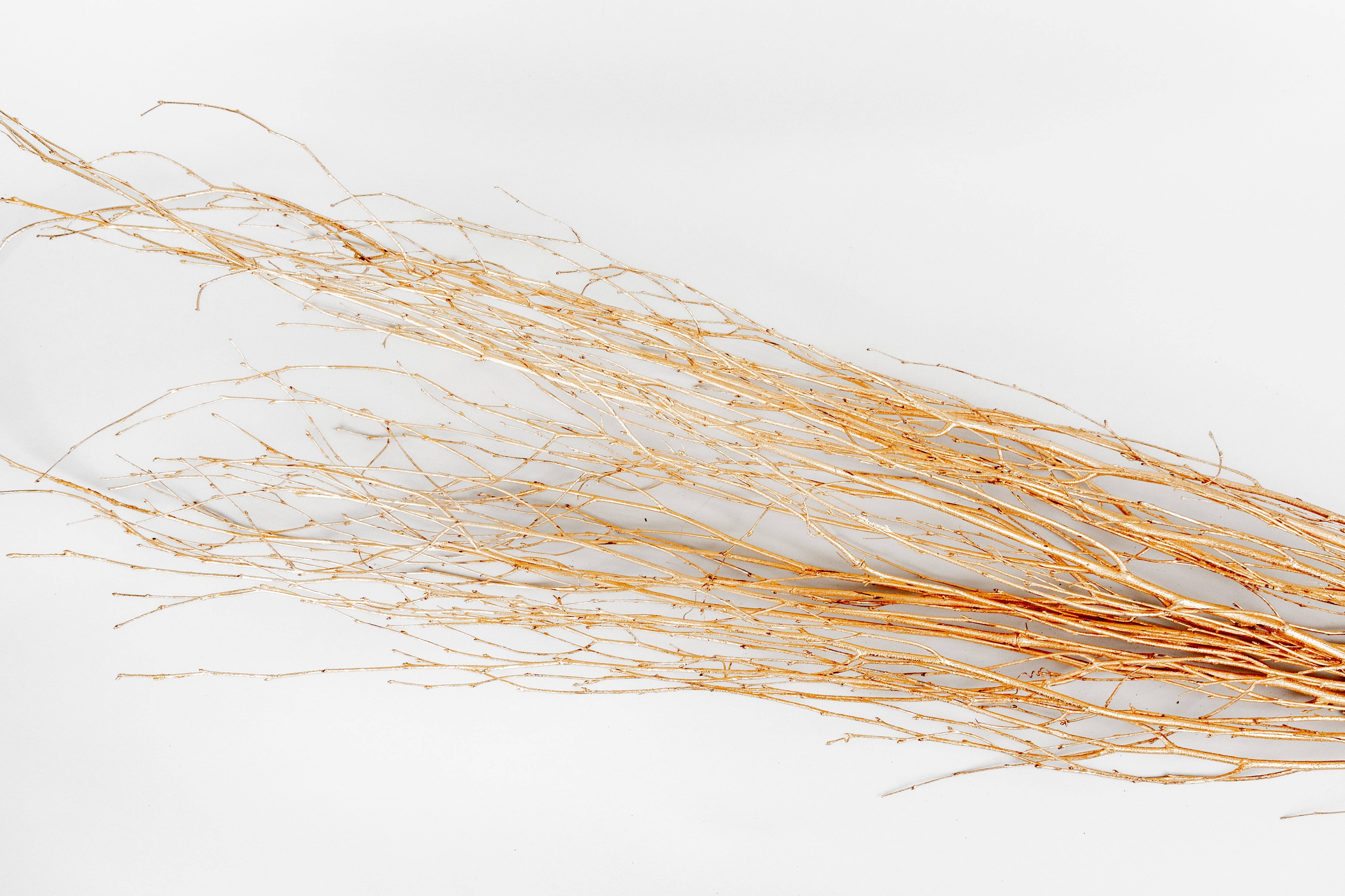 GS Foliage - Wholesale Dried/Pressed Flowers - Metallic Gold Painted 4 Foot Birch Branches - 10pc Bundle1