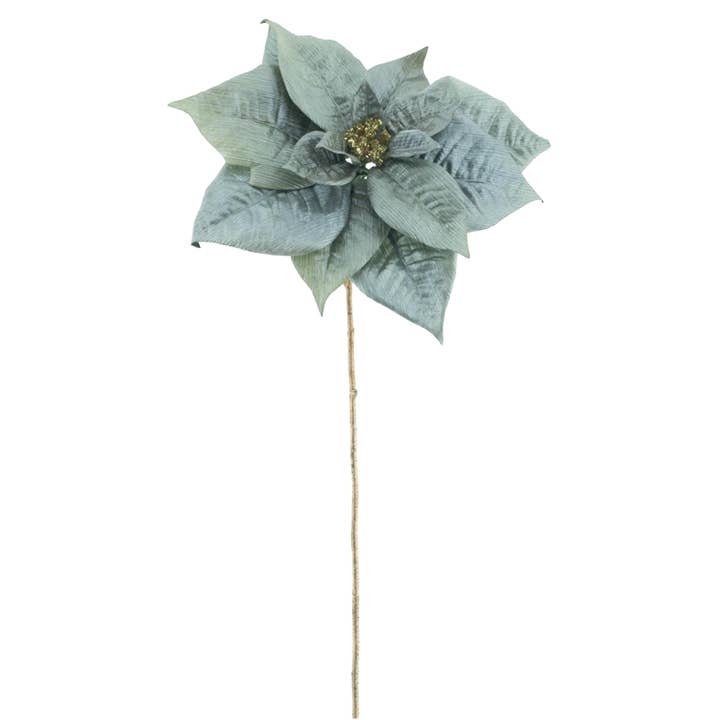 Julstjärna-gren, L70cm, Salvia för wholesale av Vosteen