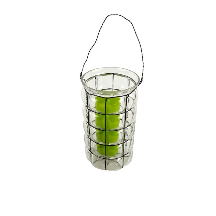 lantern 26cm, clear with wire for wholesale by FW-Glas