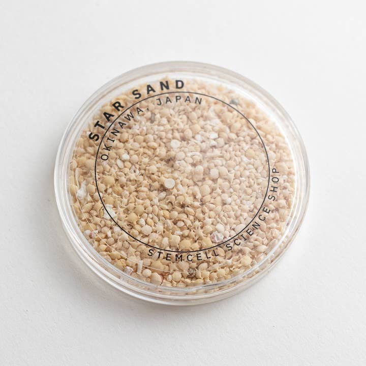 Stemcell Science Shop - Wholesale Decorative Tabletop Object - Japanese Star Sand