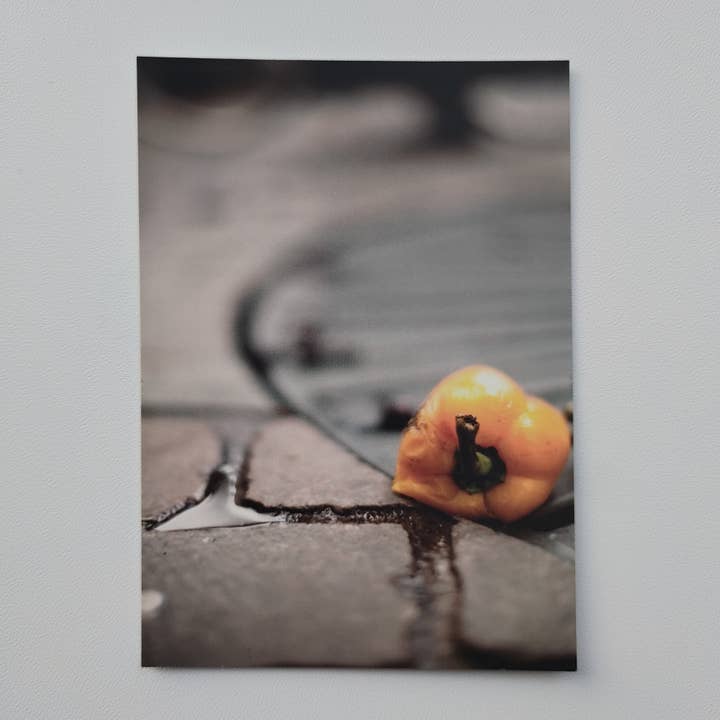 Vykort - Paprika (1014) för wholesale av SannCards