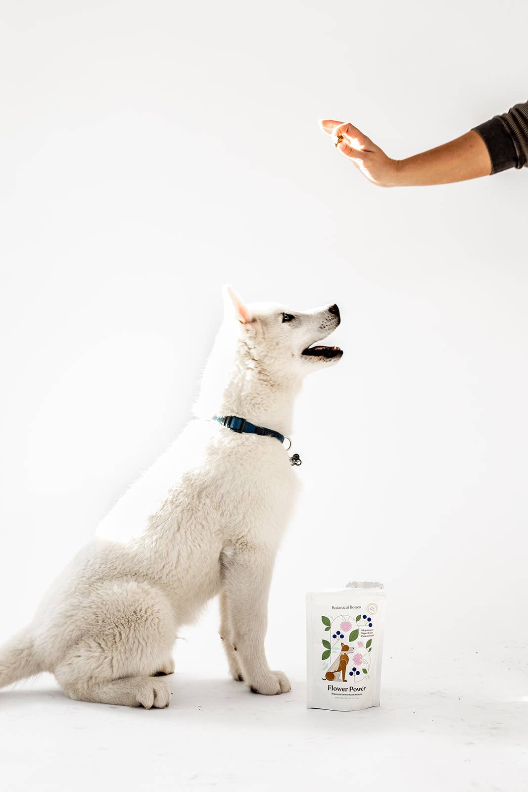 Botanical Bones - Vente Friandises – chien - Flower Power Biscuits naturels et biologiques pour chiens10