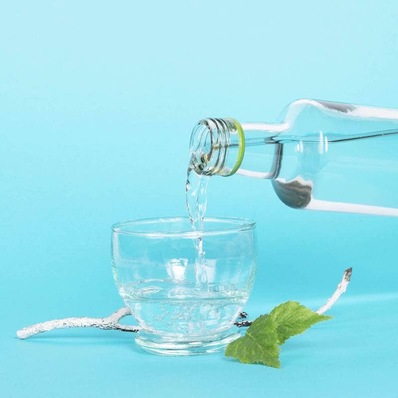 SANTAROME BIO - Wholesale Oral Supplement/Vitamin - Organic birch sap3