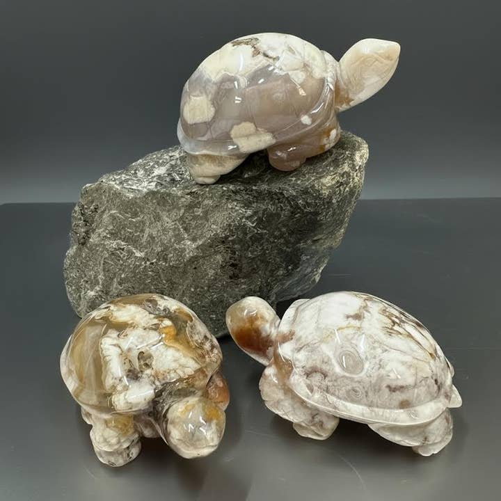 Tortuga de Ágata Flor para venta al por mayor de Crystal Deal· Wholesale Crystals & Gifts