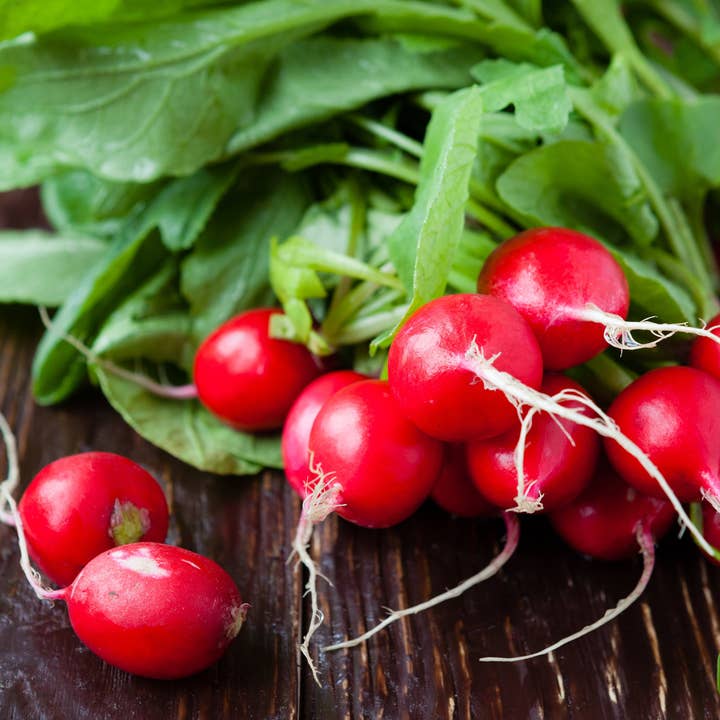 Bentley Seed Co. - Vente Graines de plantes - Radis-Cerise Belle 18843