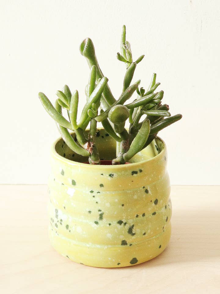 Marshmallow Planter for wholesale by Nightshift Ceramics
