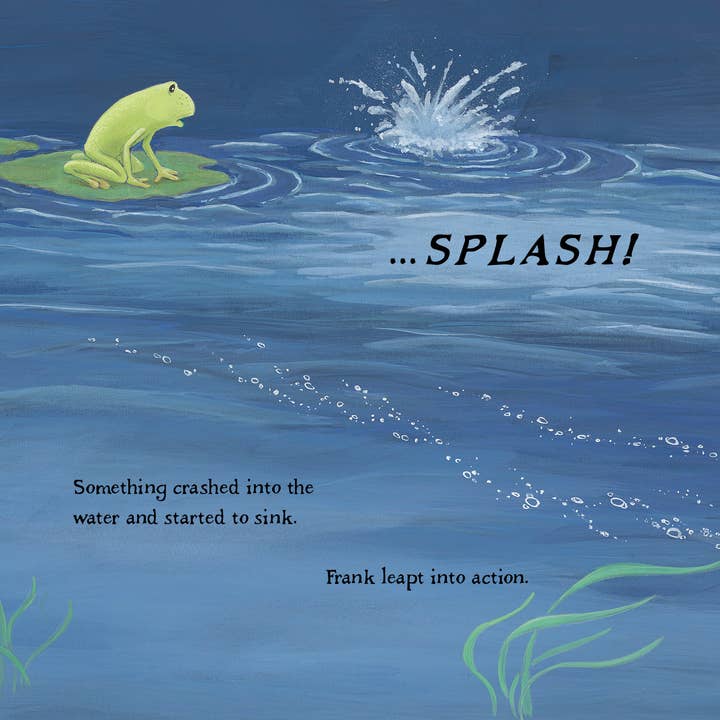 REMOVED BRAND - Wholesale Preschool Book (3-5) - A Frog Thing4