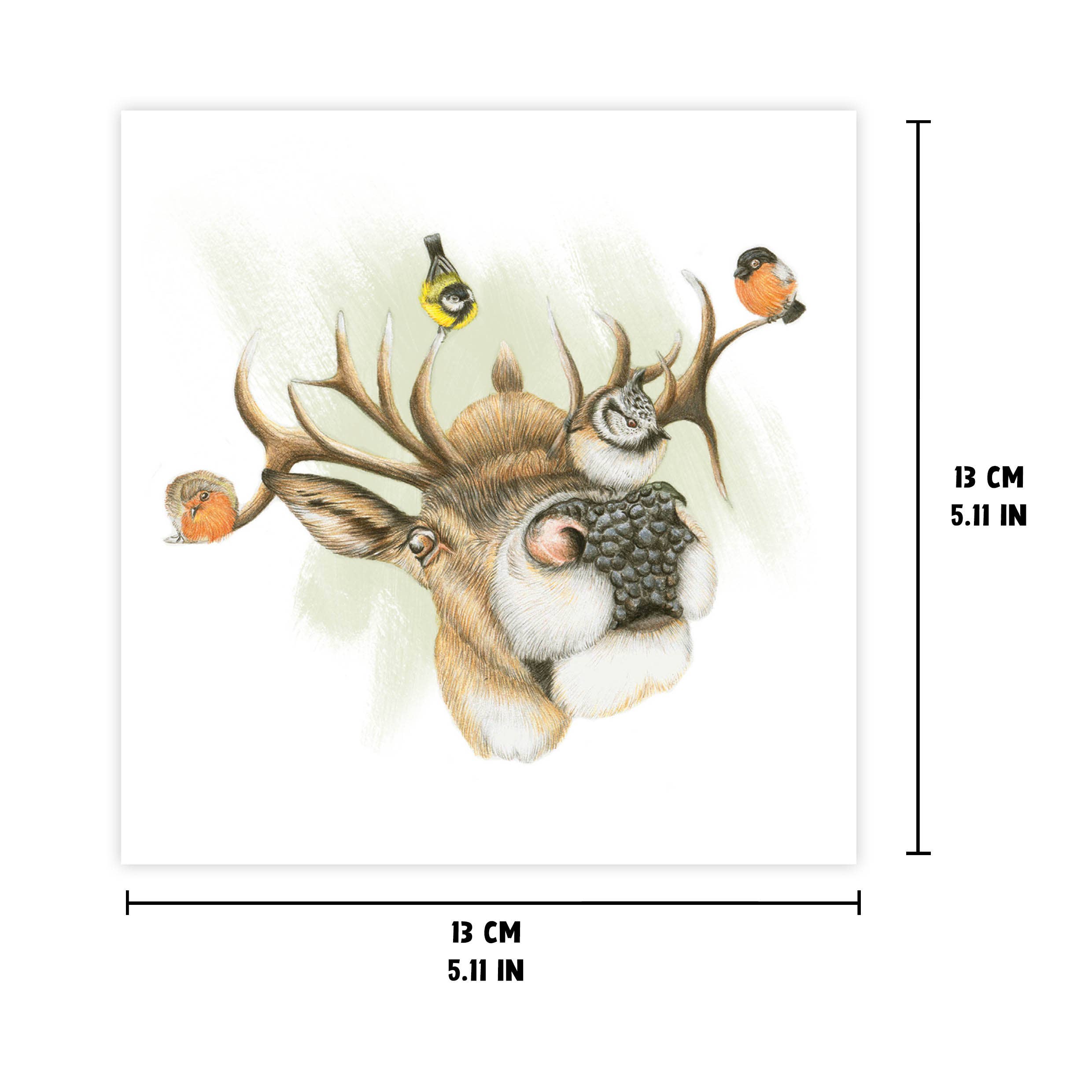 Beast of Paradise - Wholesale Everyday Greeting Card - Deer Greeting Card, Animal Birthday Cards, Blank Card, Birds2