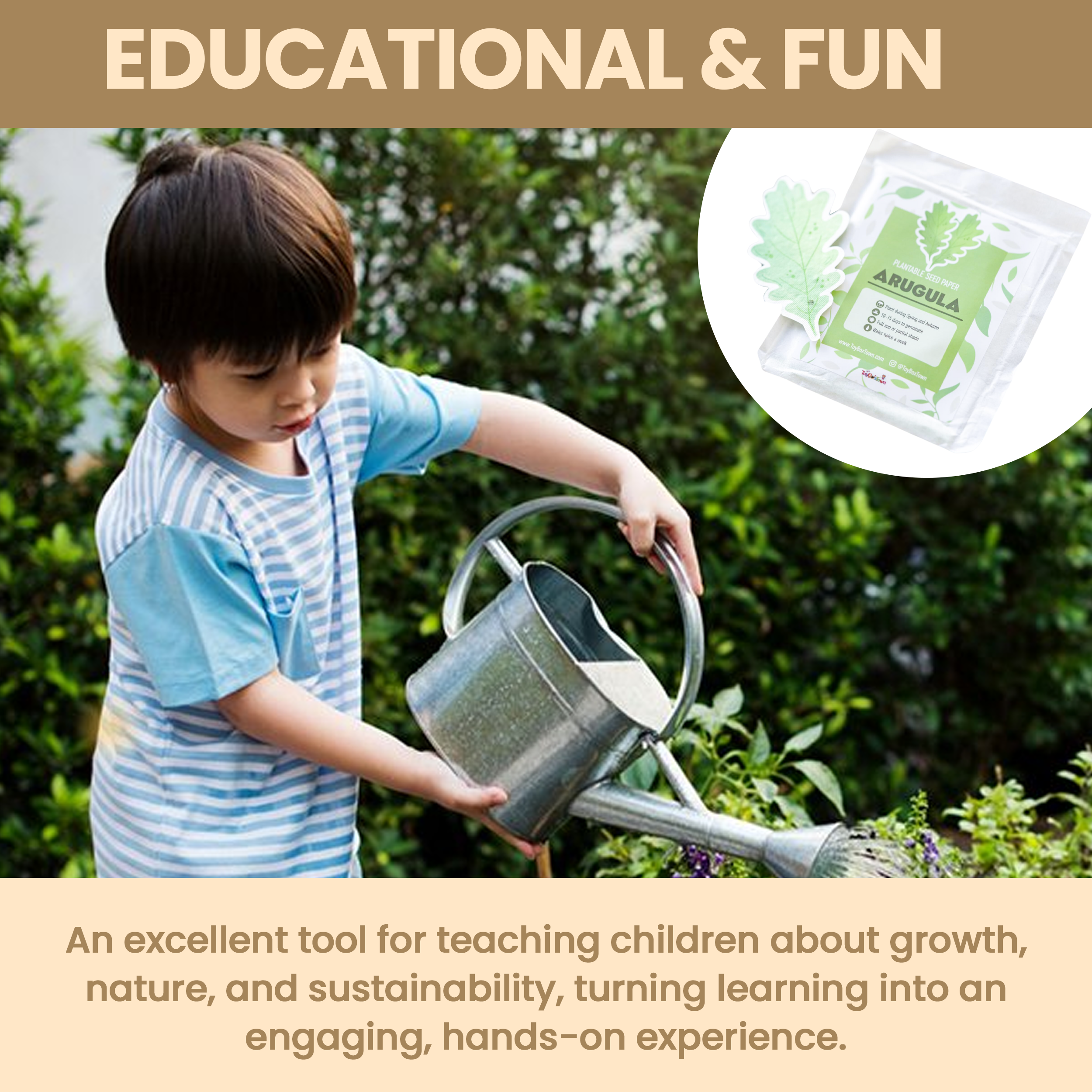 ToyBoxTown – Großhandel Pflanzensamen – Samenpapier zum Anpflanzen von Rucola, 10 Stück1