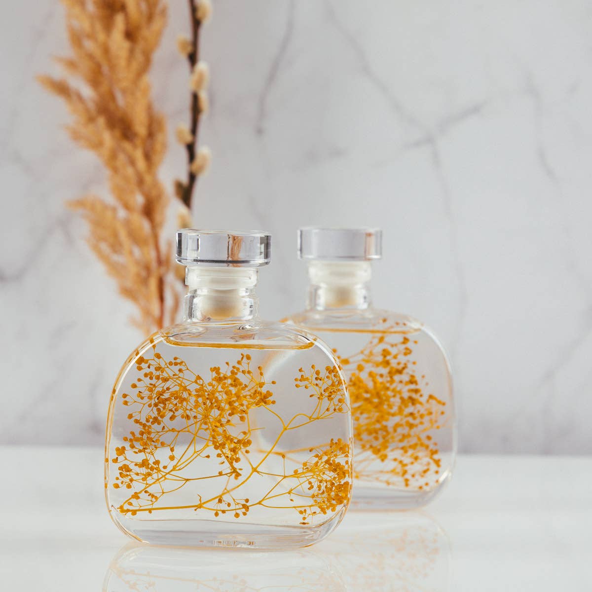 Theophile Berthon – wholesale Levande växt – Herbariumkapsel - Safrankärleksört nedsänkt växt7