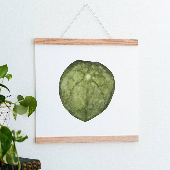 Chinese Money Houseplant Art Print for wholesale by Come Alive Studio