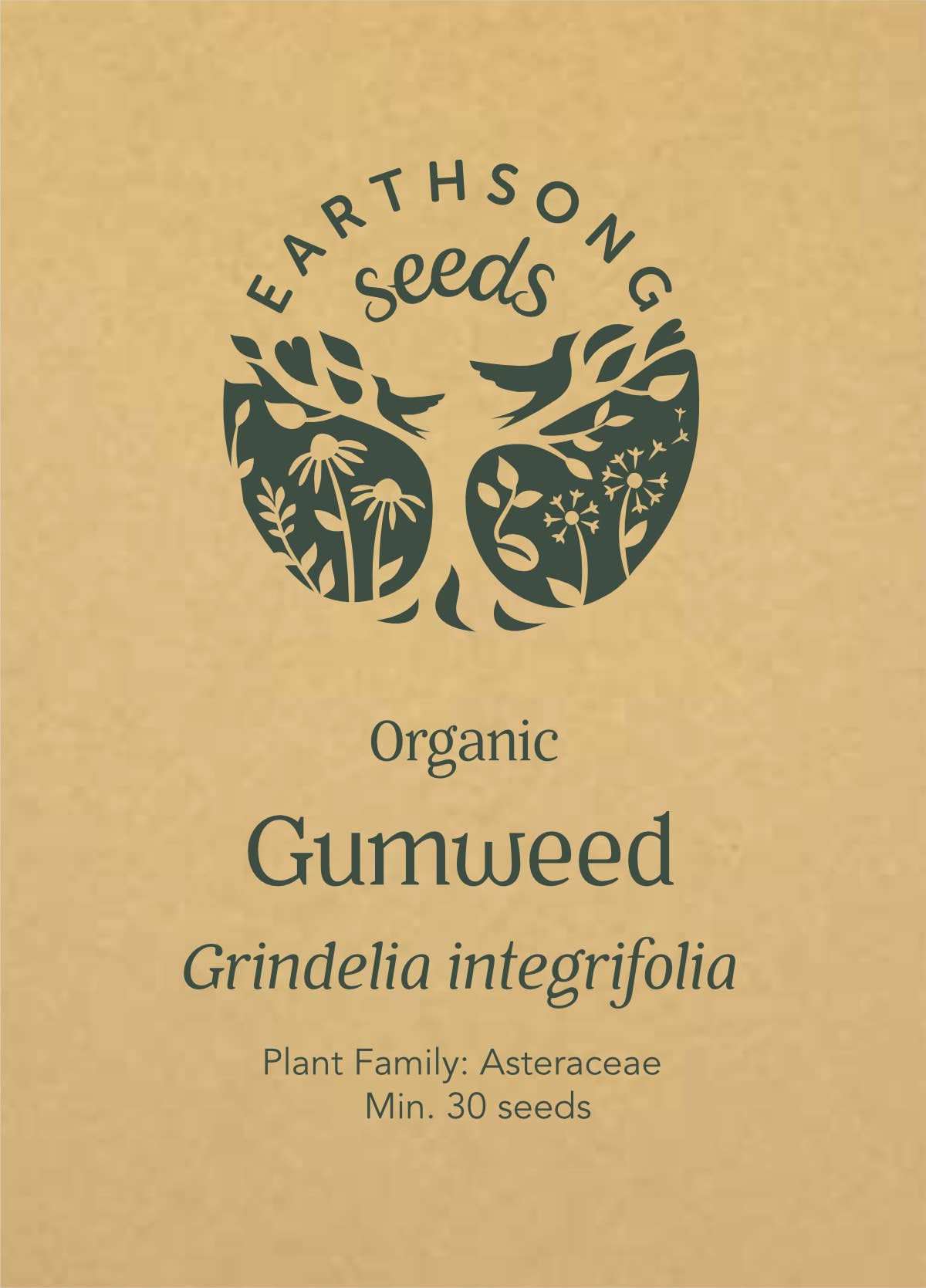 Earthsong Seeds – wholesale Plant seeds – Gumweed: Seed Pack - Organic1