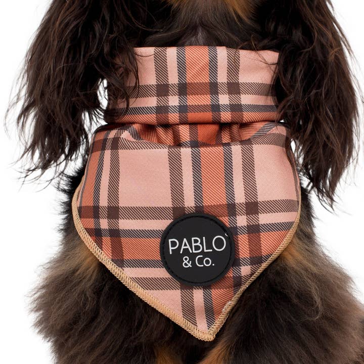 Pablo & Co. Boutique - Wholesale Pet bandana – Dog - Kensington - Dog Bandana1