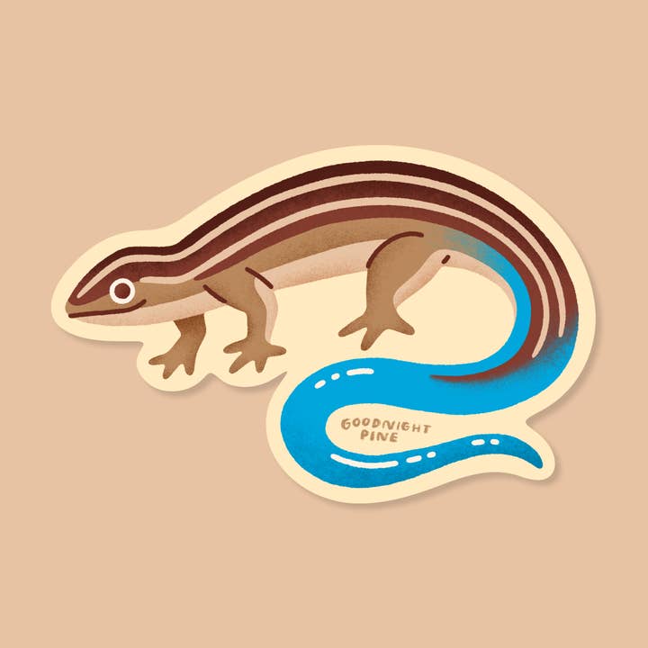 Western Skink Lizard Sticker for wholesale by Goodnight Pine