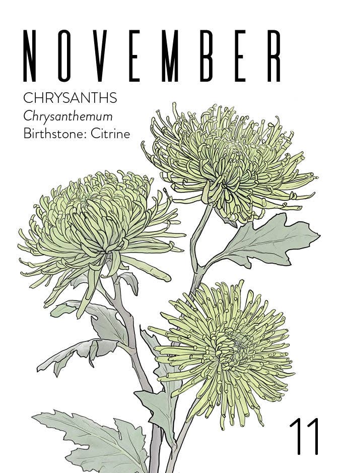 WildFlora - Wholesale Verjaardagskaartje - Groothandel Wenskaarten: Geboortemaand Collectie (set van 12)12