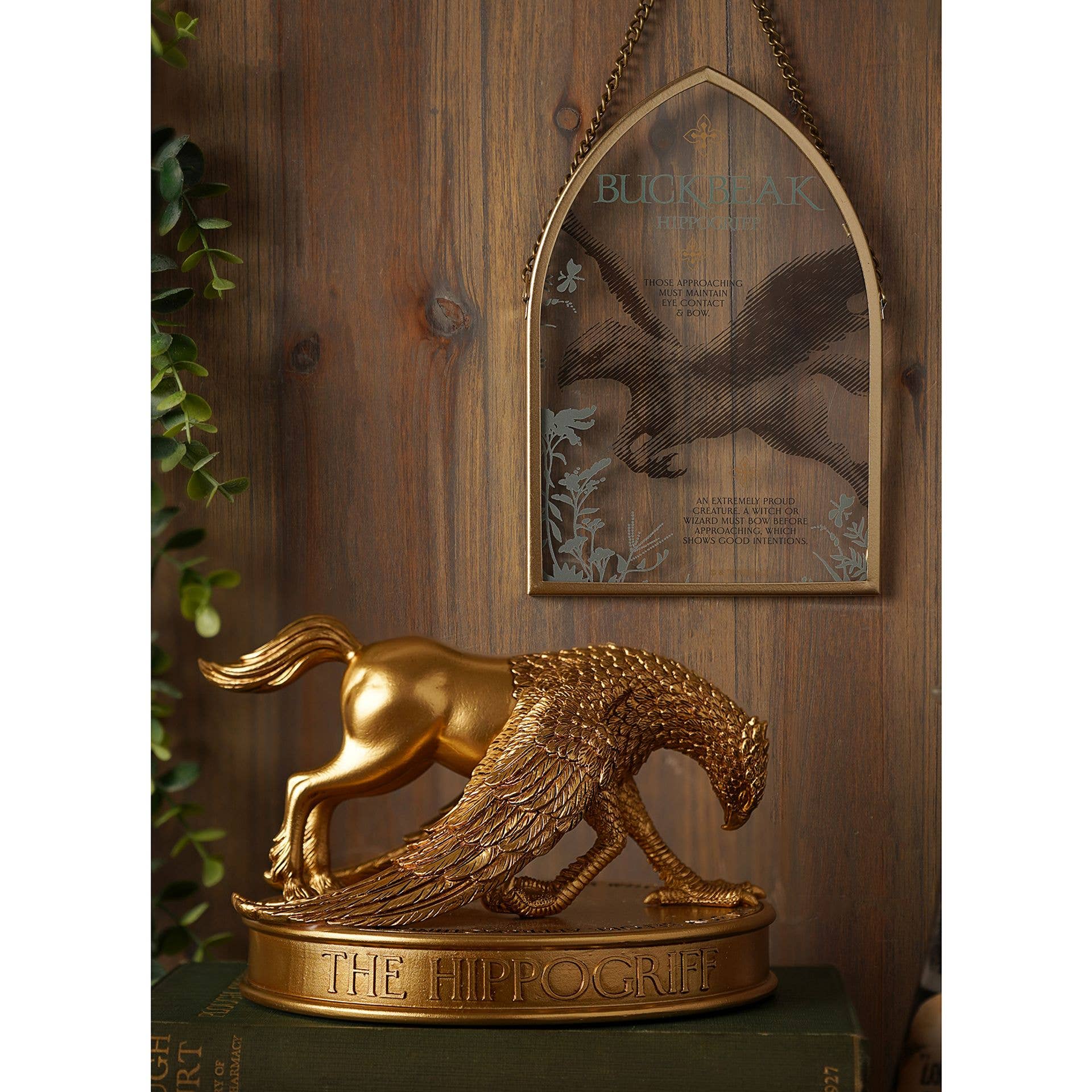 WIDDOP and Co. - Vente Plaque murale - Plaque d'arc Harry Potter Herbologie Warner Bros - Buckbeak2