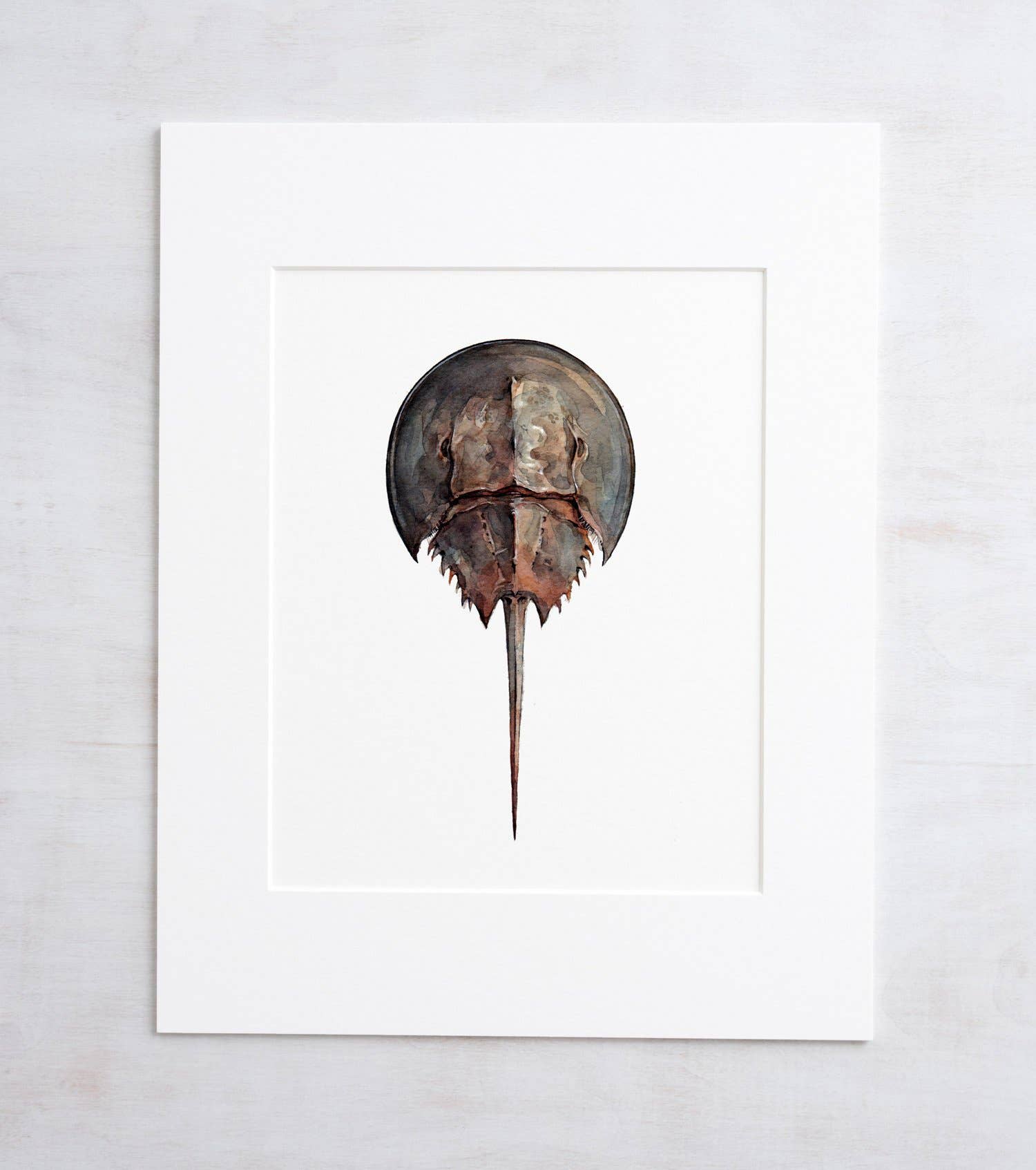 Studio Tuesday - Wholesale Art Print - Horseshoe Crab Watercolor Painting, Seashore Beach Print2