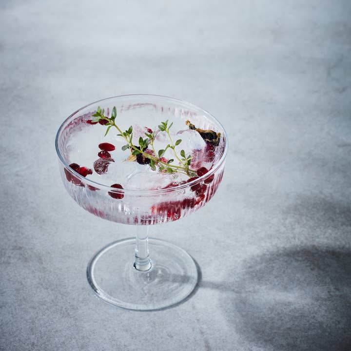 Secco Drink Infusion - Wholesale Cocktail Mix/Syrup - Spiced Pomegranate6