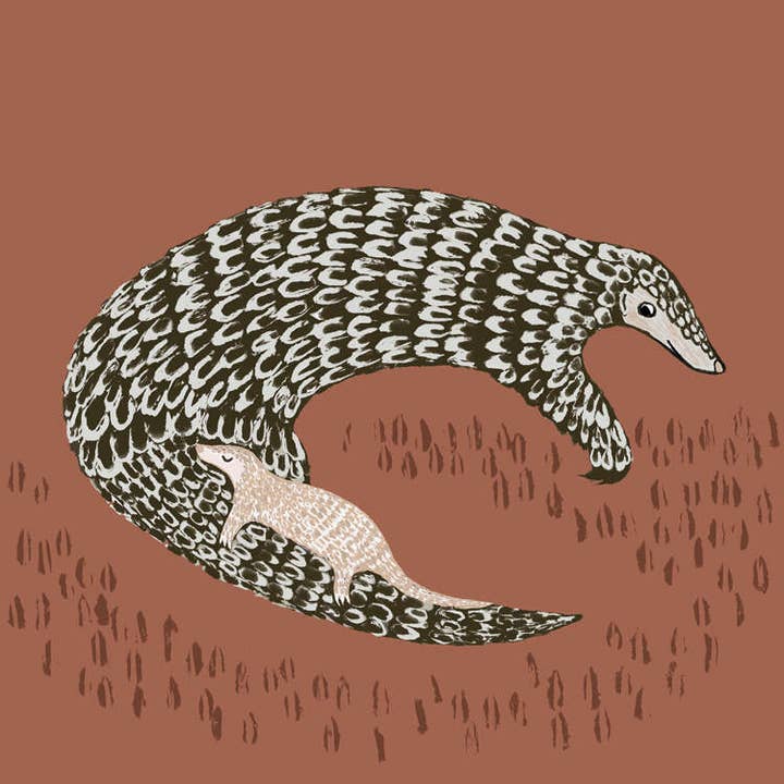 Pangolin And Pup for wholesale by Paper Bird Publishing