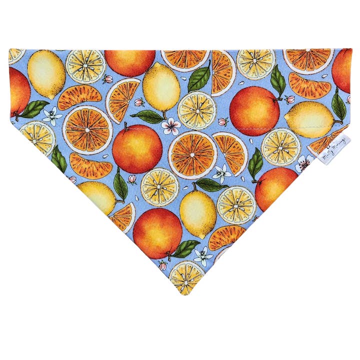 Citrus Splash Kæledyrsbandana for engroshandel hos Mutty Mornings