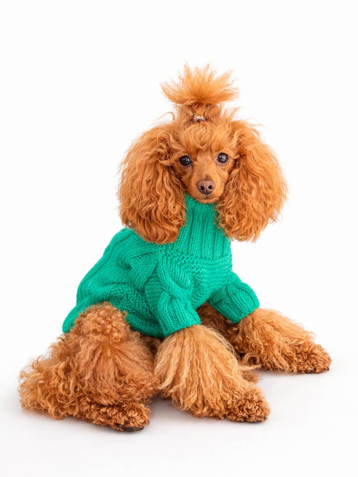 Le Pull pour Chien La Tresse pour la vente par Colette et Gastón pet brand
