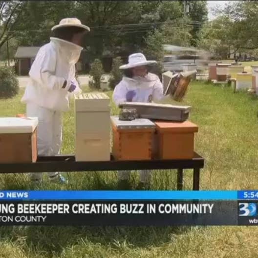 The Little BeeKeeper LLC - Wholesale Honey - 5 gallons - Elderberry Infused Honey6