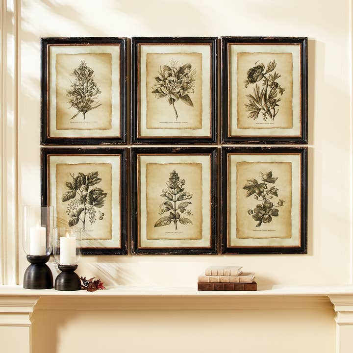 Napa Home & Garden - Wholesale Gallery Wall Set - Framed Vintage Floral Prints, Set Of 61