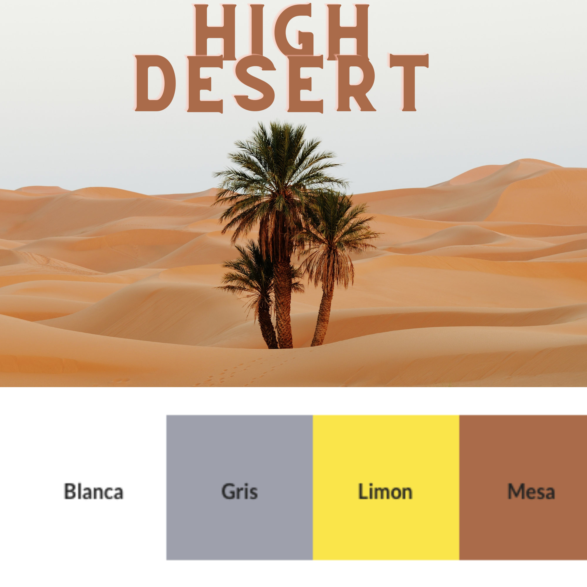 Mimi Green - Wholesale Pet Collar - Dog - High Desert Waterproof Biothane Side Release Dog Collar3