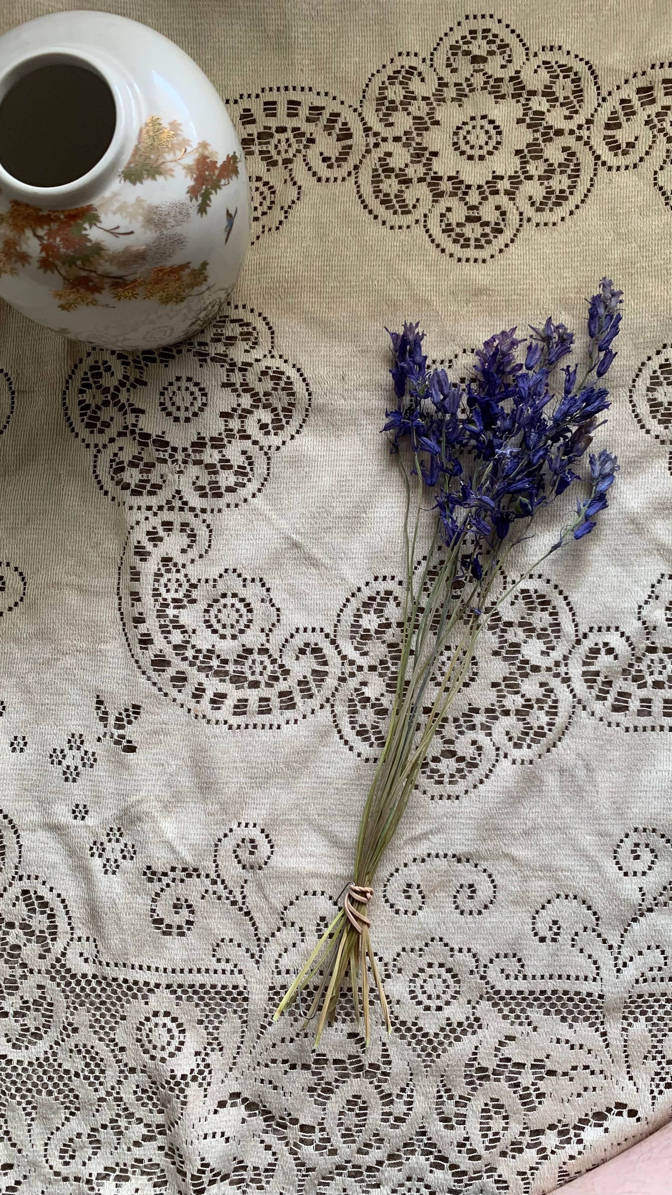 Twig and Snip - Wholesale Dried/Pressed Flowers - Dried Spanish Bluebells- Indigo Blue color3