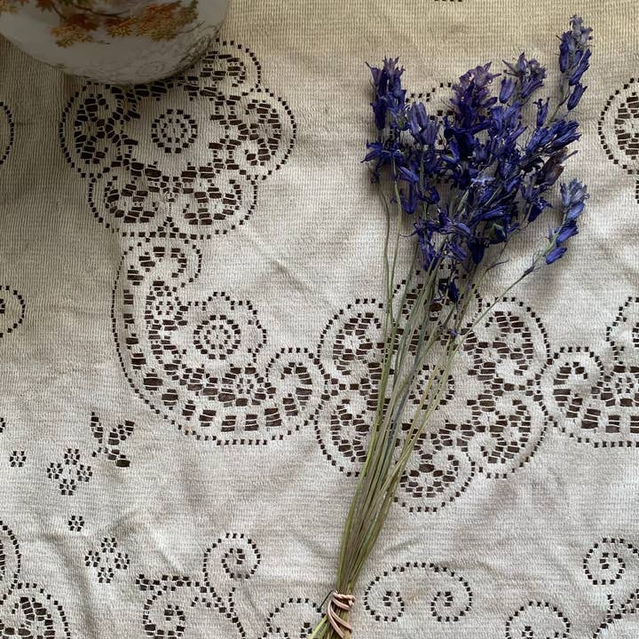 Twig and Snip - Wholesale Dried/Pressed Flowers - Dried Spanish Bluebells- Indigo Blue color3