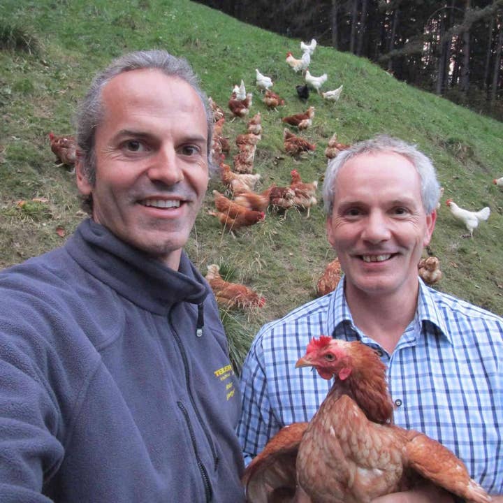 Eierreich - Wholesale Pasta - Organic Soup Noodles Durum Wheat Semolina 250g2