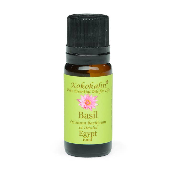 Sweet Basil (Ocimum Basilicum Ct Linalool) for wholesale by Kokokahn Essential Oils