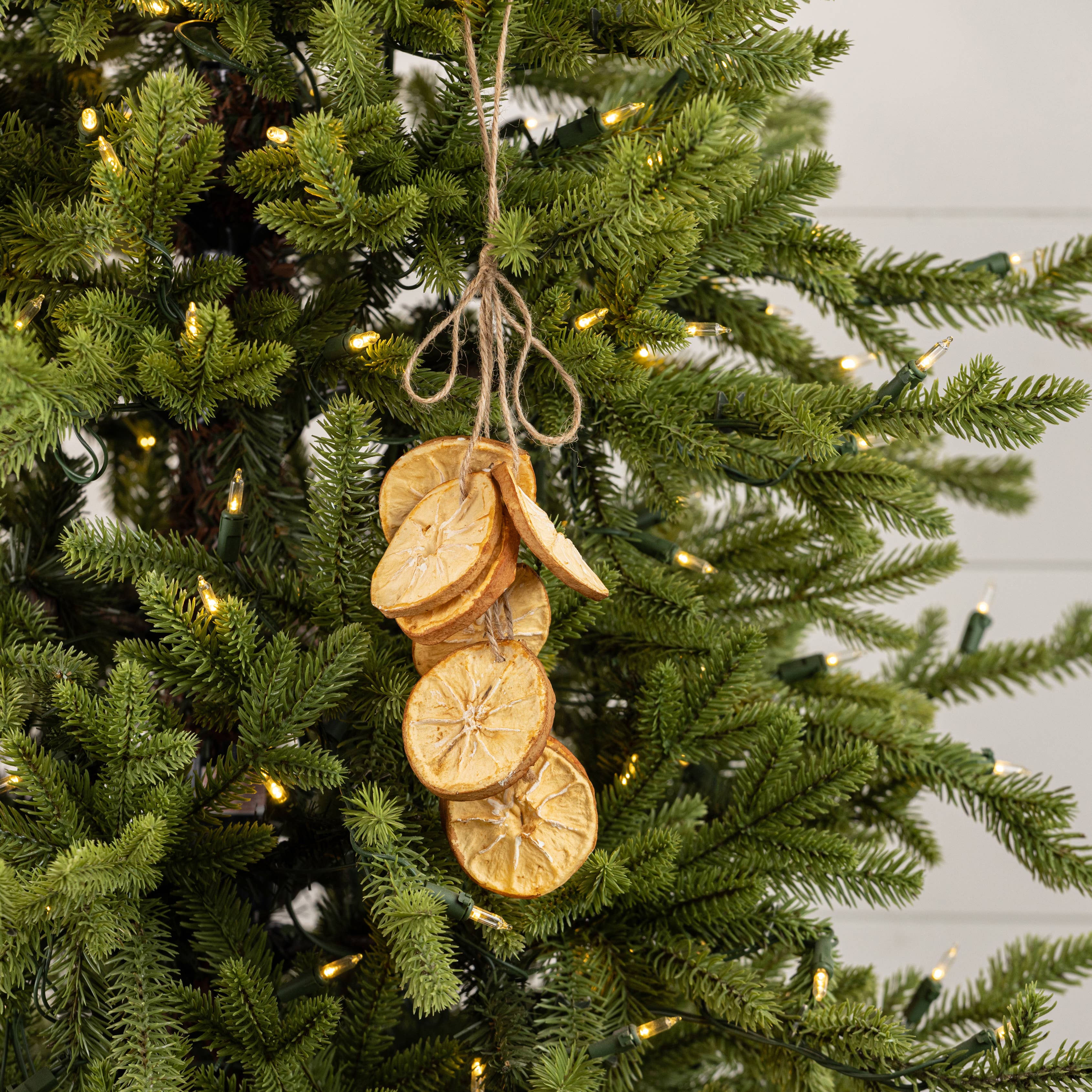 Ragon House - Vendita all'ingrosso Decorazione - ORNAMENTO PENDENTE FETTA D'ARANCIA 13"3