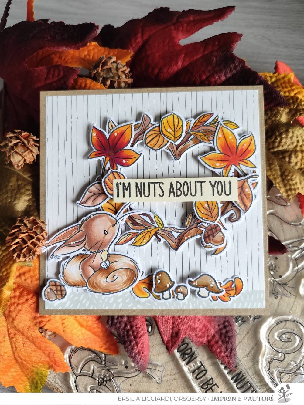 Impronte D'Autore - Wholesale Rubber/Decorative Stamp - Clear polymer stamps Nutty Explorers4